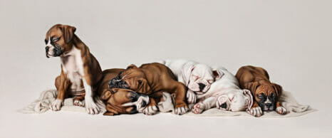 sleeping puppies on a white blanket by Kelly Brown Photography workshop UK